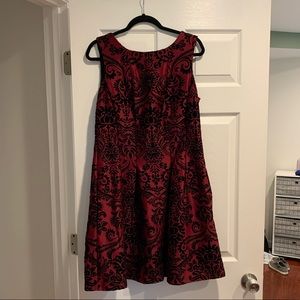 Danny&Nicole-size 16-top of the knee-w/pockets